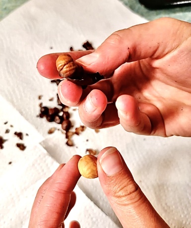 1. Schritt: Haselnüsse rösten-